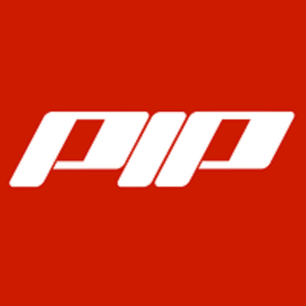 PIP Logo